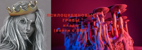 ПСИЛОЦИБИНОВЫЕ ГРИБЫ Балахна