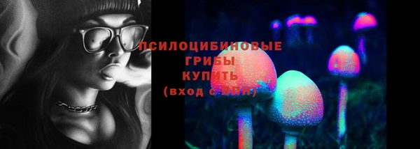 ПСИЛОЦИБИНОВЫЕ ГРИБЫ Балахна