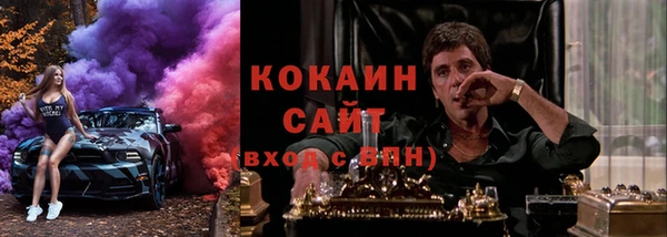шишки Балабаново